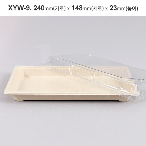 펄프 XYW-09 직사각용기+뚜껑 1박스(300세트)일프로팩